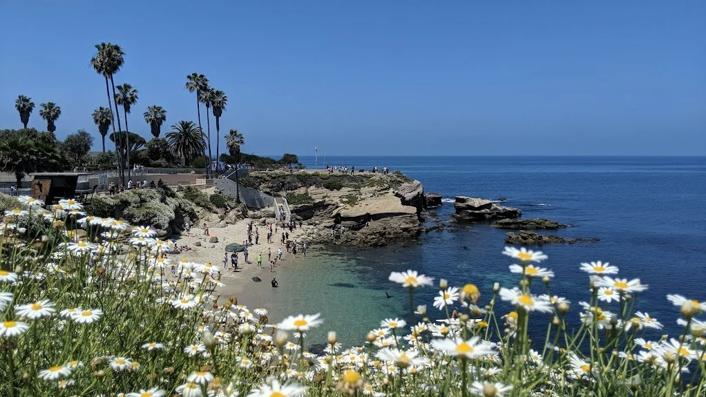 Tour La Jolla — pure bliss | luxury picnics